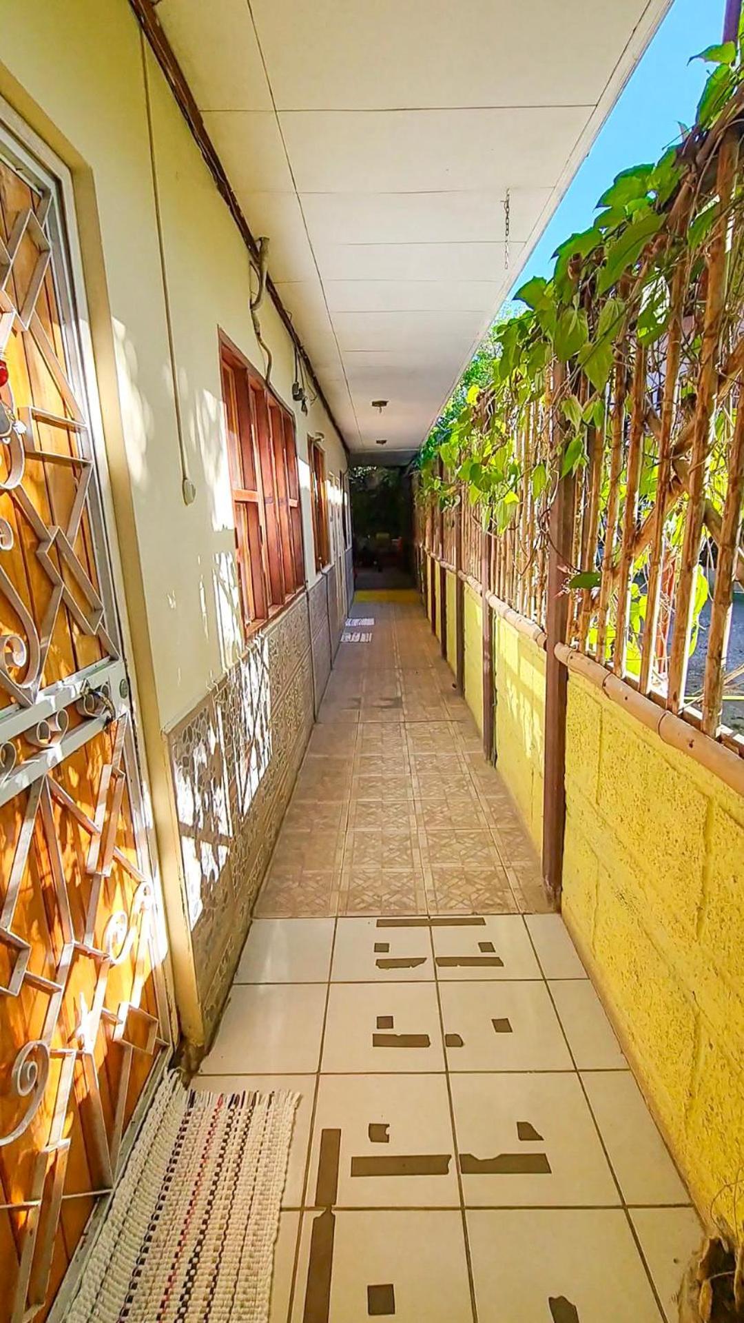 Cabinas Coco Alegre Dış mekan fotoğraf
