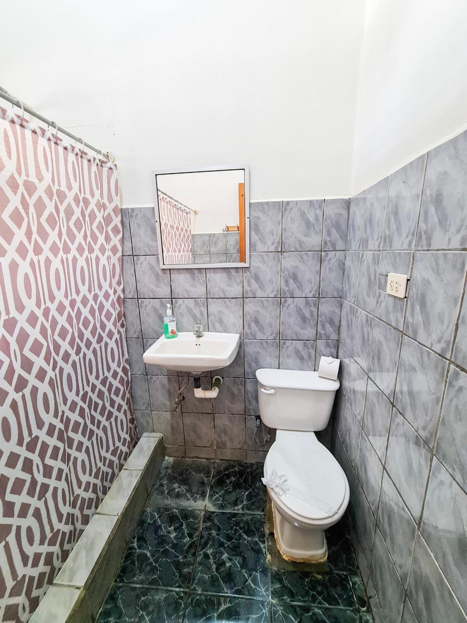 Cabinas Coco Alegre Dış mekan fotoğraf